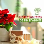 Fêtes de fin d’année